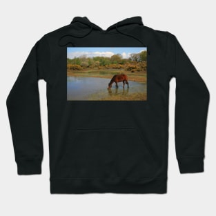 Setley Pond Hoodie